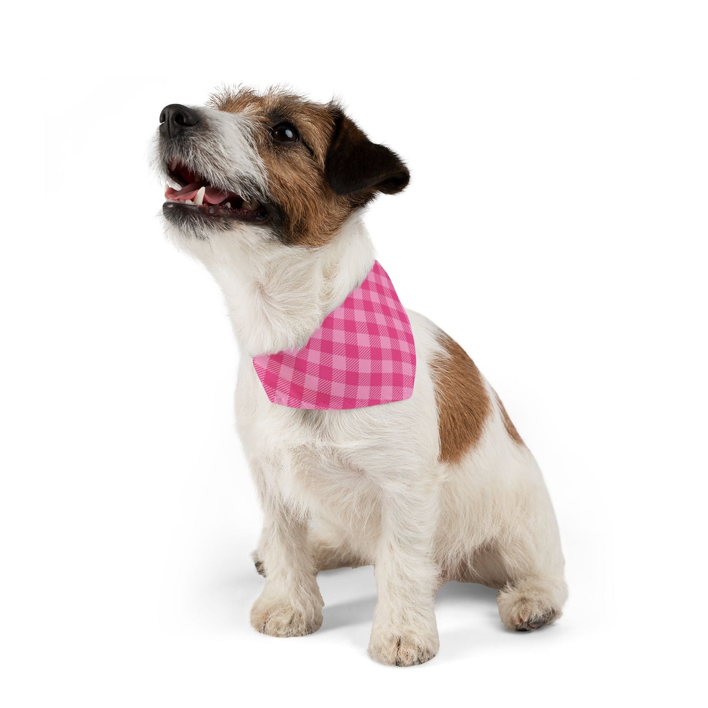 Sweet in Pink Buffalo Plaid Pet Bandana, Over the Collar