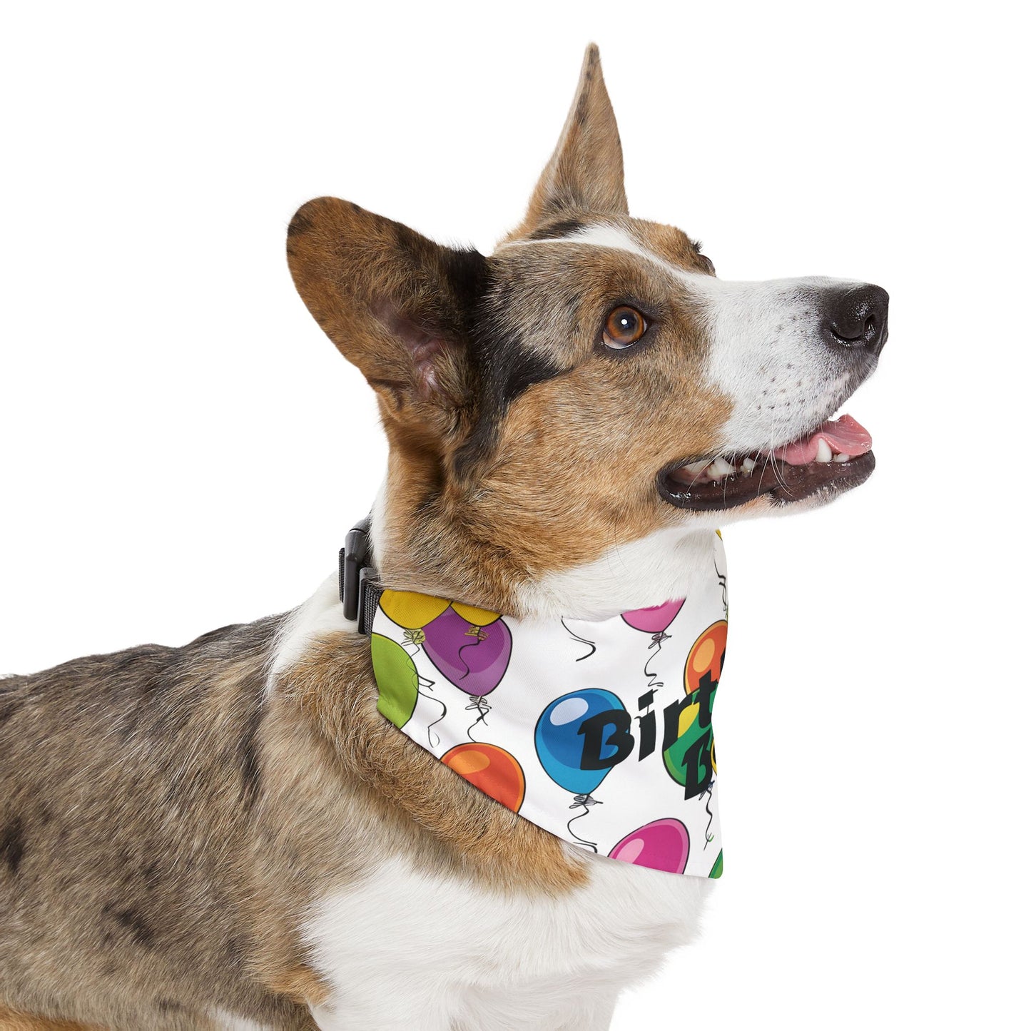Birthday Boy Dog Bandana – Over-the-Collar Style, White with Colorful Balloons