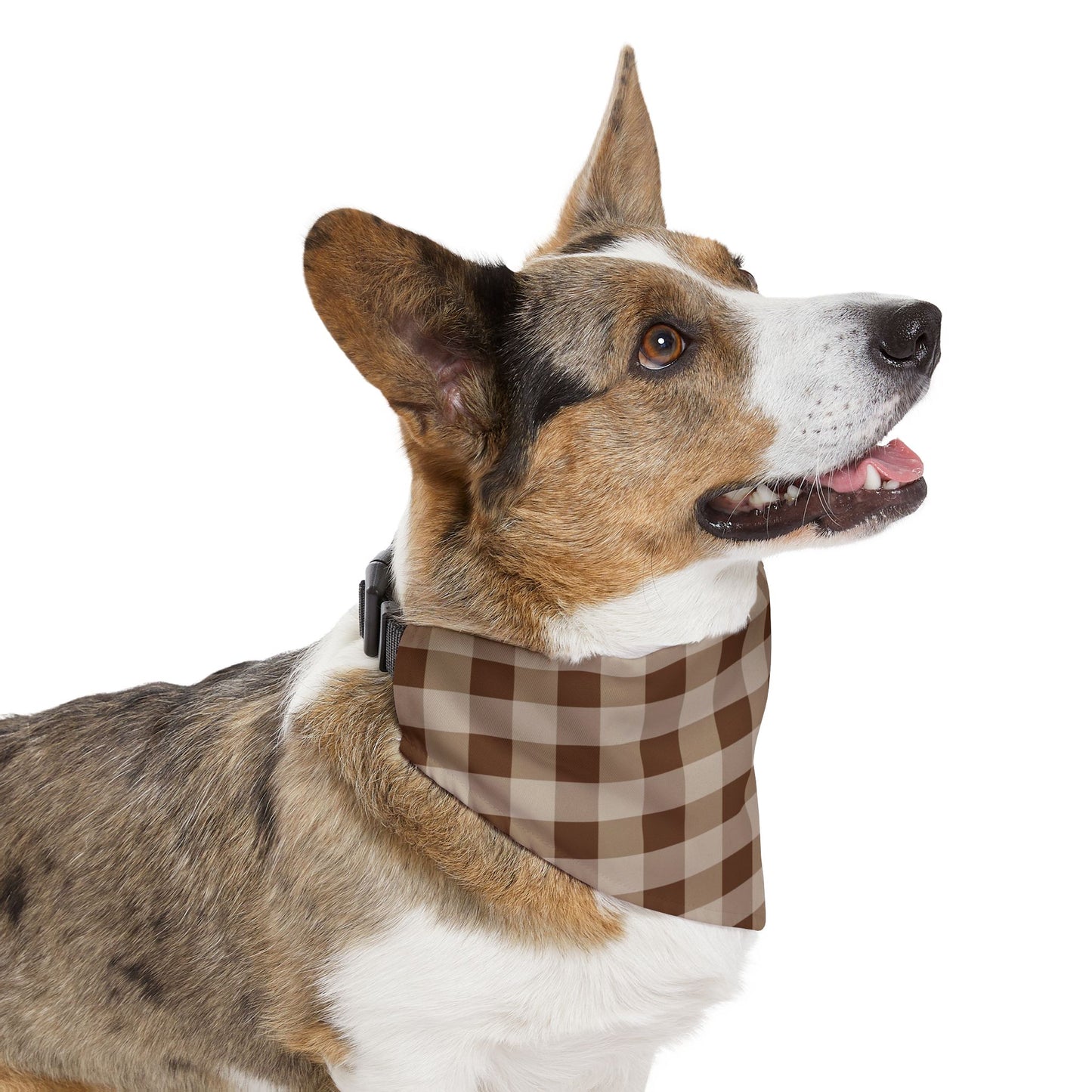 Brown Gingham Dog Bandana, Over the Collar