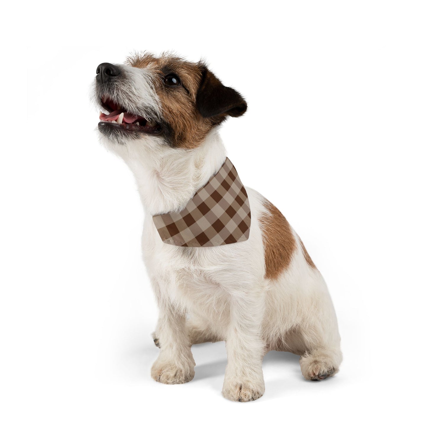 Brown Gingham Dog Bandana, Over the Collar