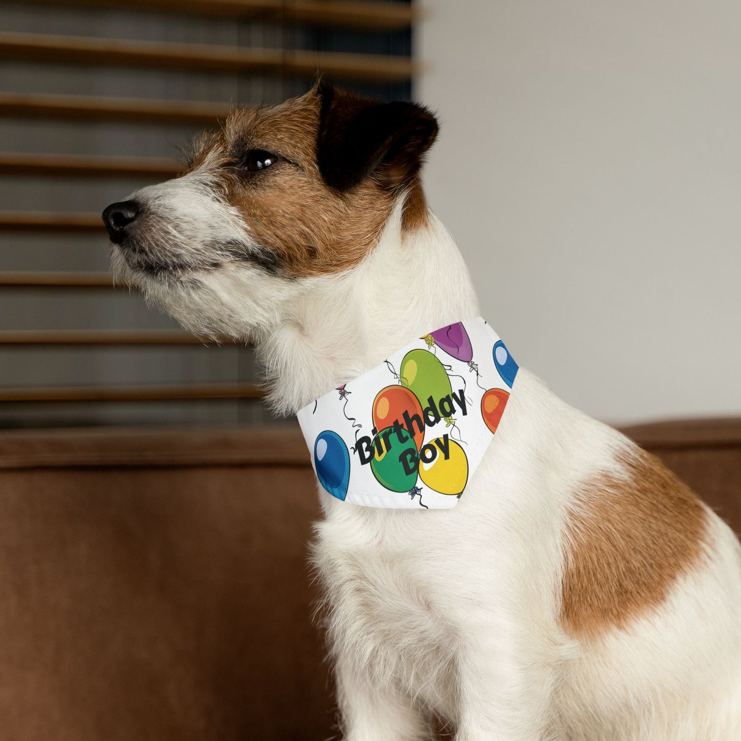 Birthday Boy Dog Bandana – Over-the-Collar Style, White with Colorful Balloons