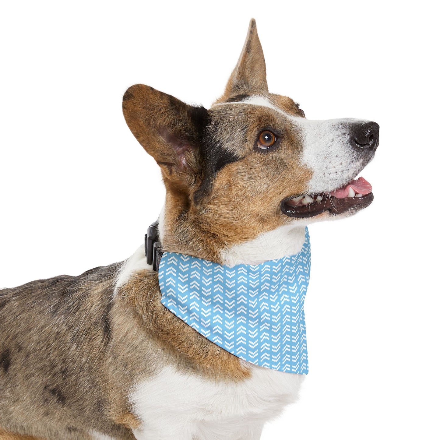 Blue Chevron Geometric Pattern Dog Bandana, Over the Collar