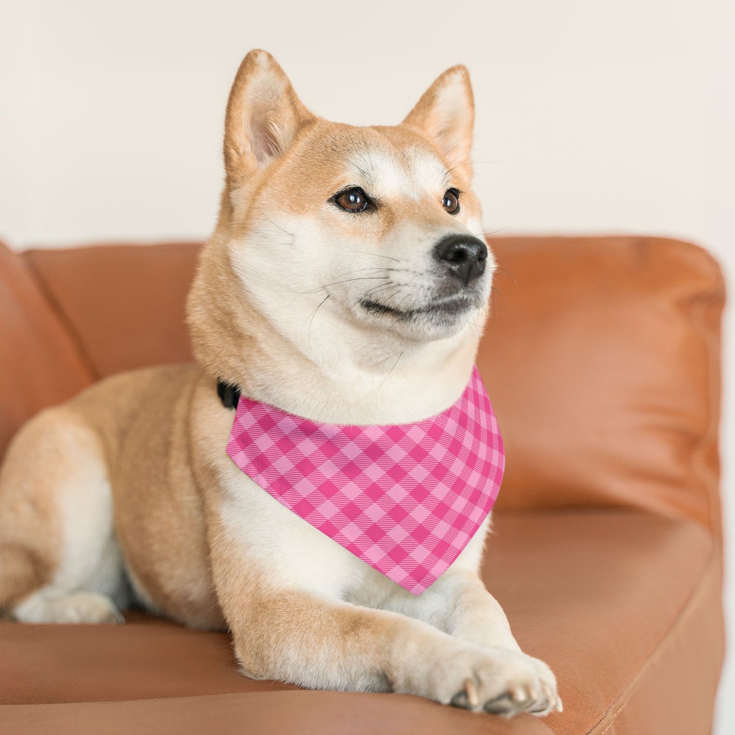 Sweet in Pink Buffalo Plaid Pet Bandana, Over the Collar