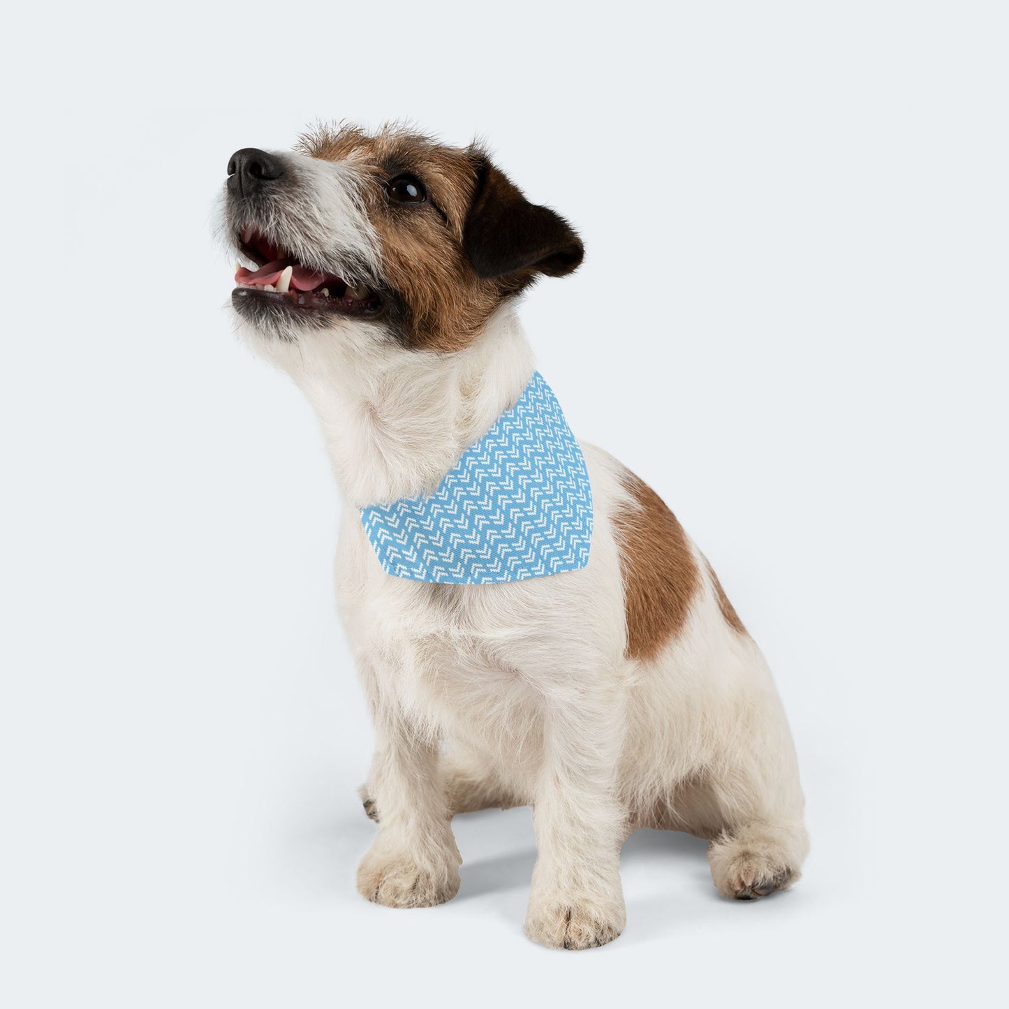 Blue Chevron Geometric Pattern Dog Bandana, Over the Collar