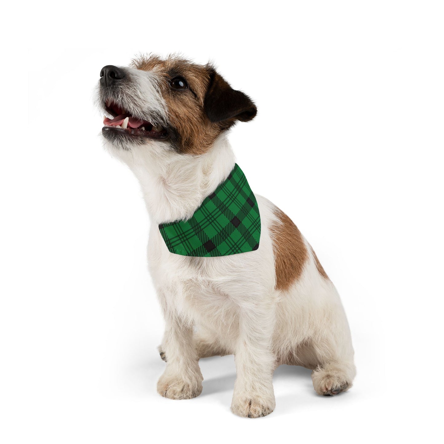 Green Plaid Pet Bandana Collar, Over the Collar