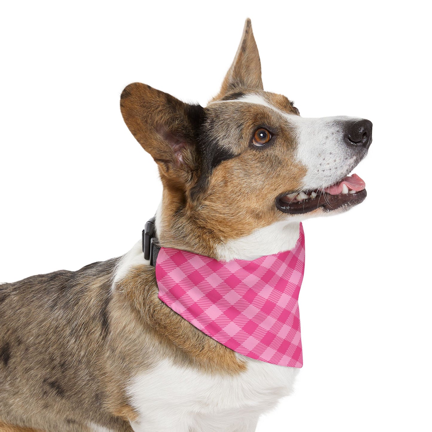 Sweet in Pink Buffalo Plaid Pet Bandana, Over the Collar