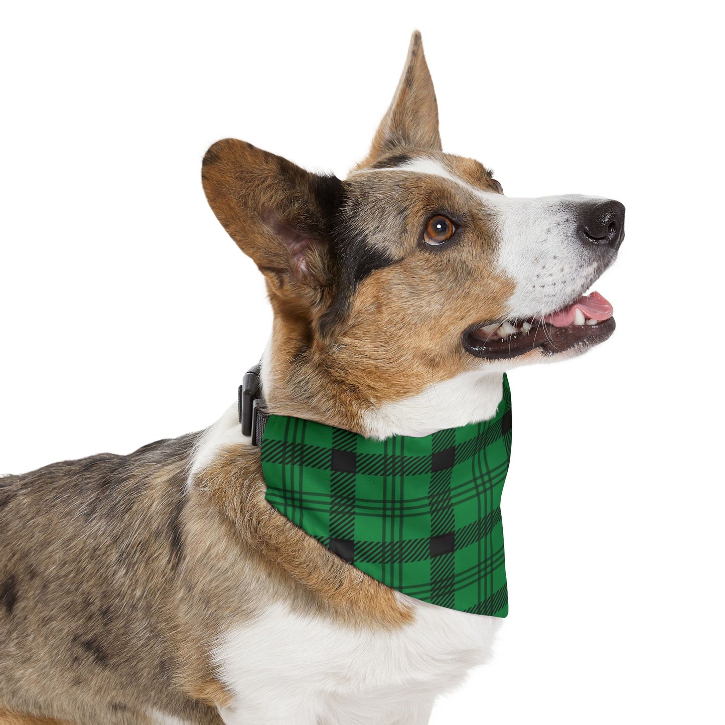 Green Plaid Pet Bandana Collar, Over the Collar