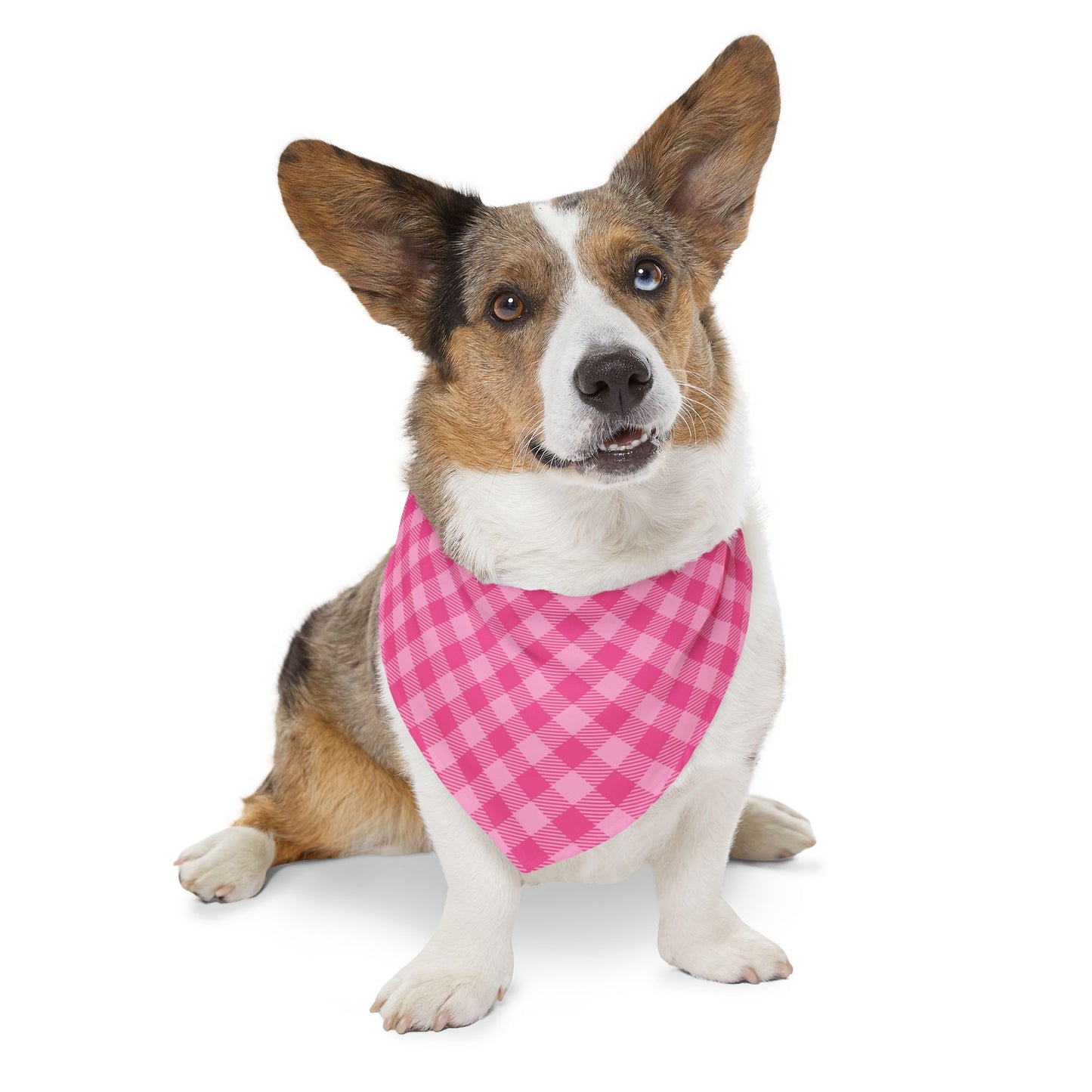 Sweet in Pink Buffalo Plaid Pet Bandana, Over the Collar