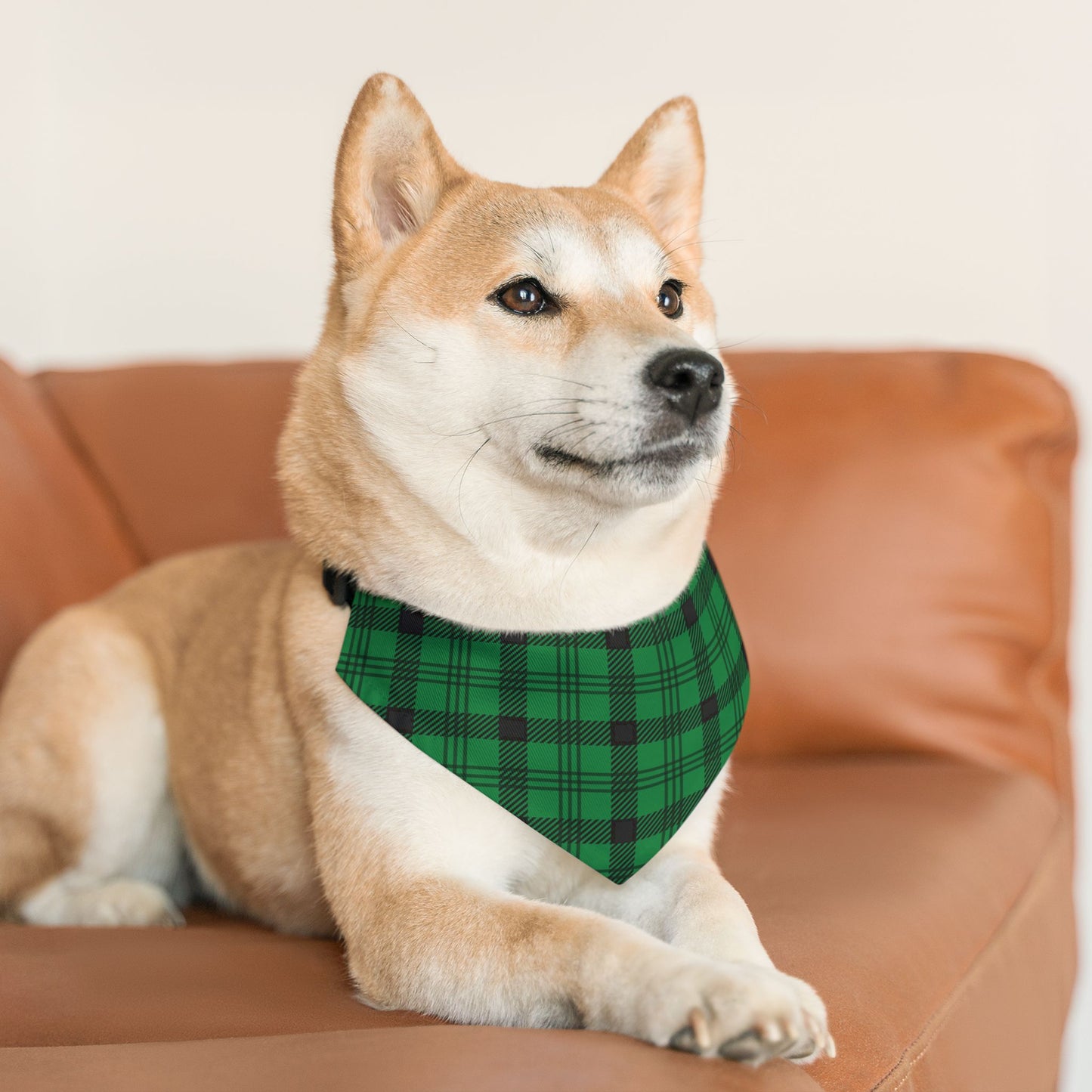 Green Plaid Pet Bandana Collar, Over the Collar
