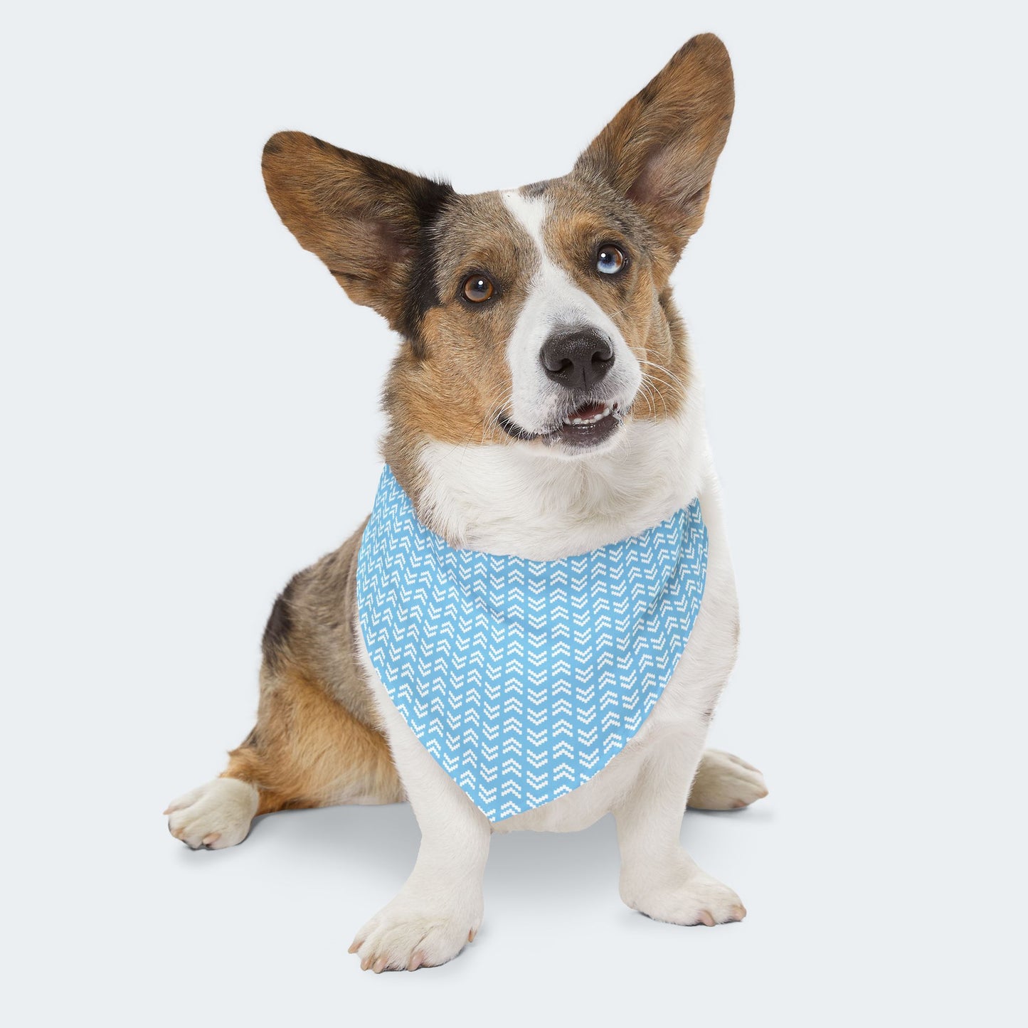 Blue Chevron Geometric Pattern Dog Bandana, Over the Collar