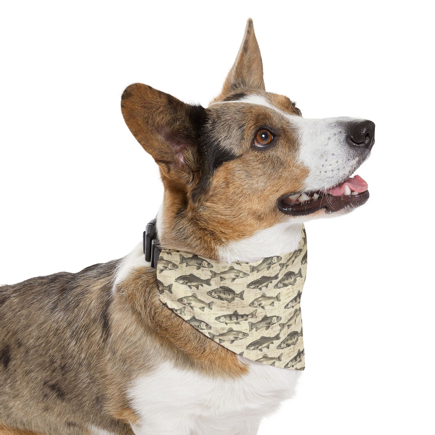 Fish Pattern Dog Bandana with Collar – Over-the-Collar Pet Bandana – Tan and Gray Dog Accessory