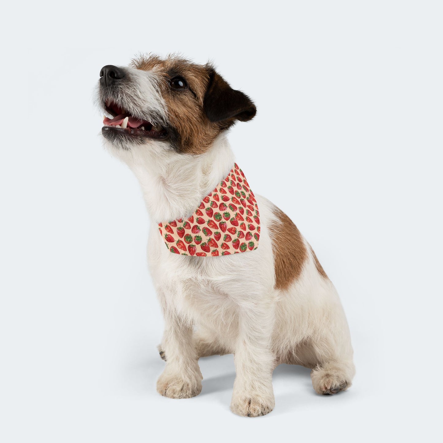 Strawberry Pattern Over-the-Collar Dog Bandana