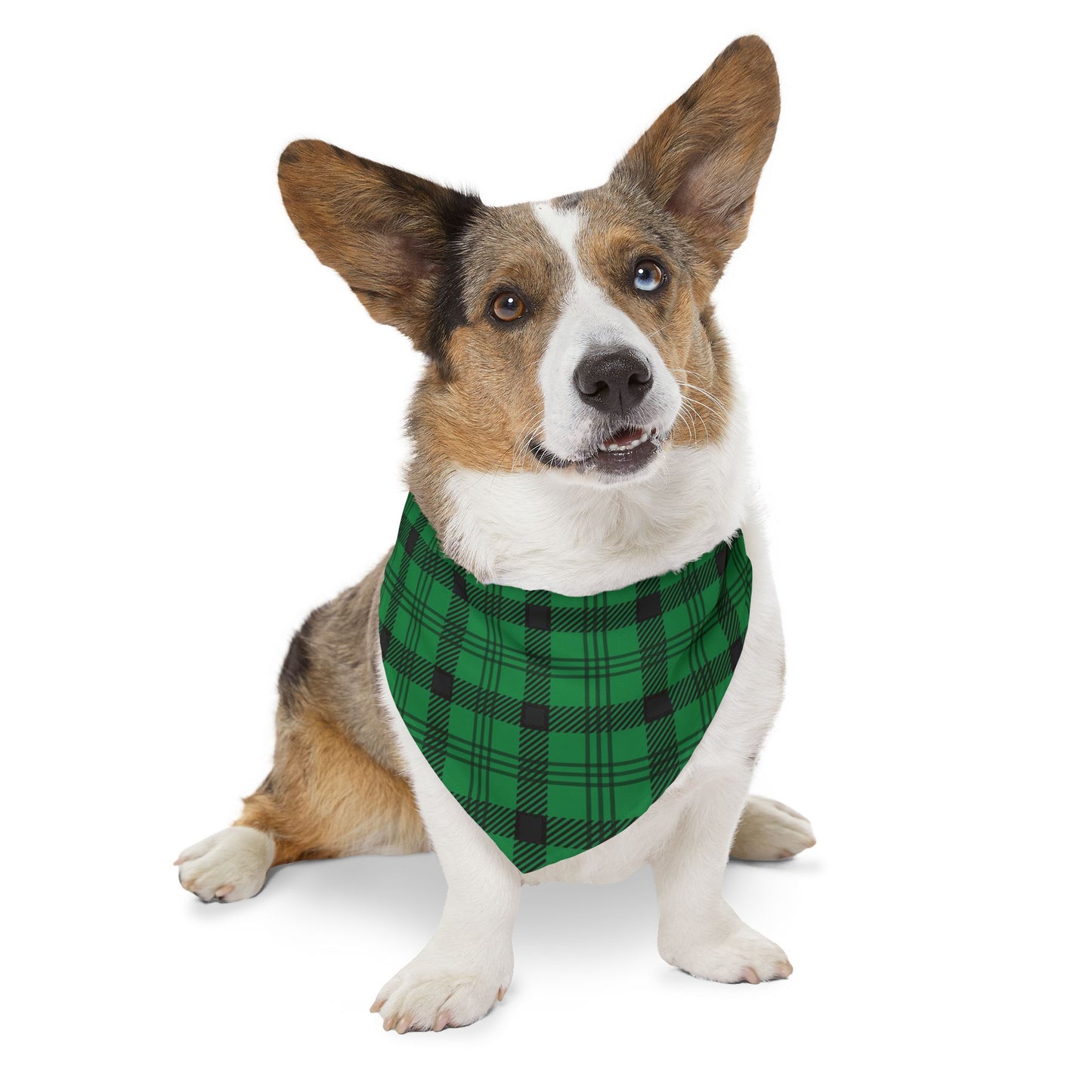 Green Plaid Pet Bandana Collar, Over the Collar