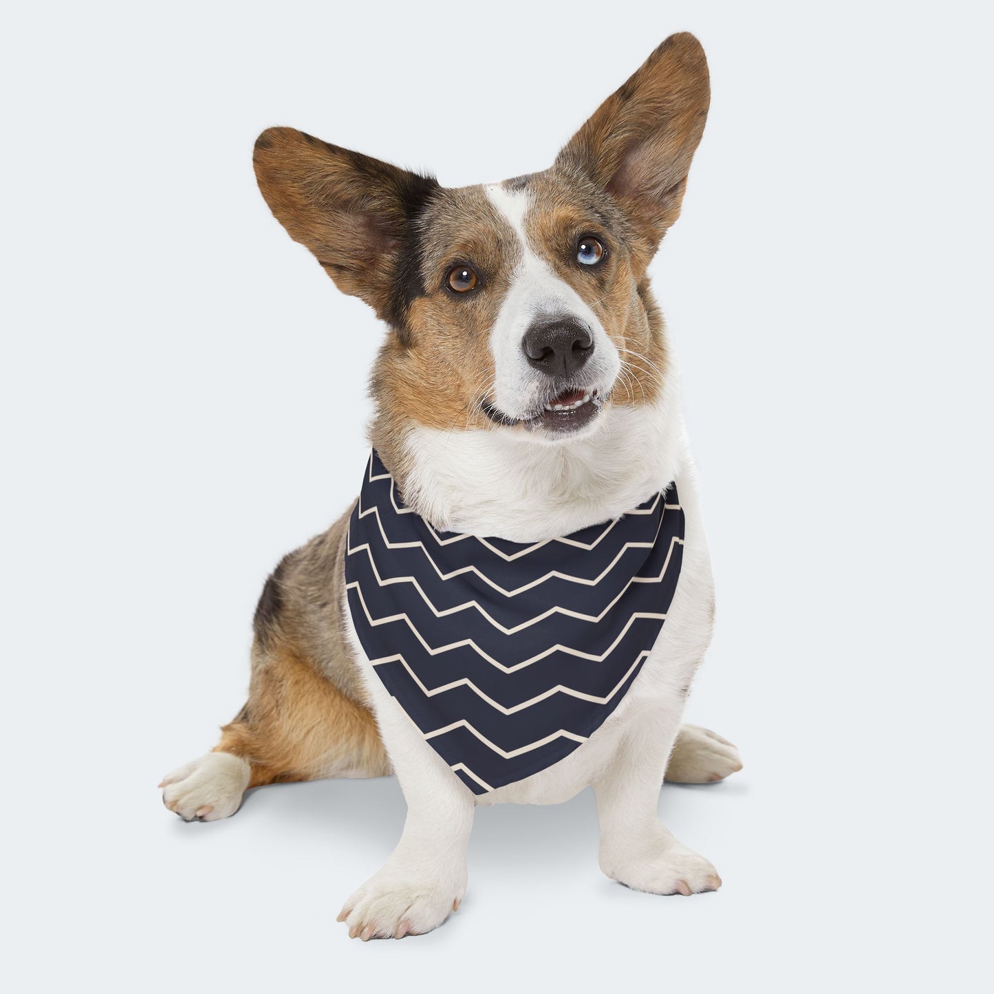 Black and White Chevron Dog Bandana - Over the Collar