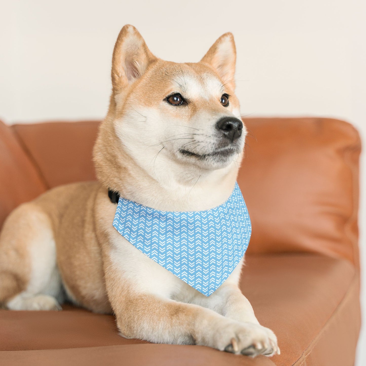Blue Chevron Geometric Pattern Dog Bandana, Over the Collar