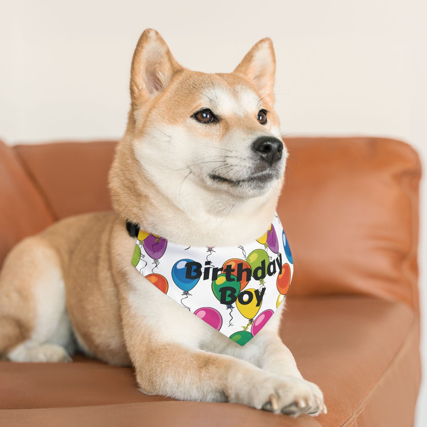 Birthday Boy Dog Bandana – Over-the-Collar Style, White with Colorful Balloons