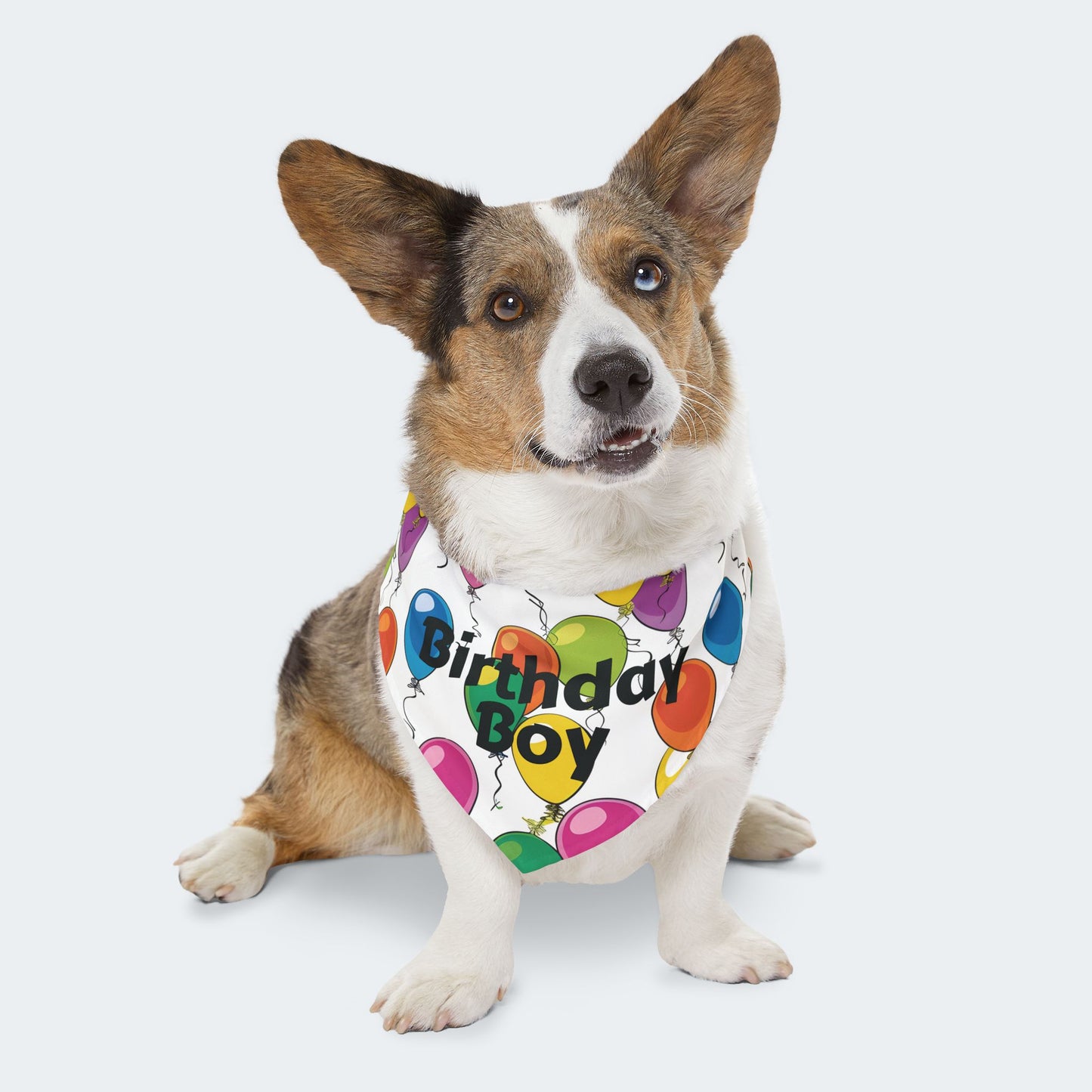 Birthday Boy Dog Bandana – Over-the-Collar Style, White with Colorful Balloons