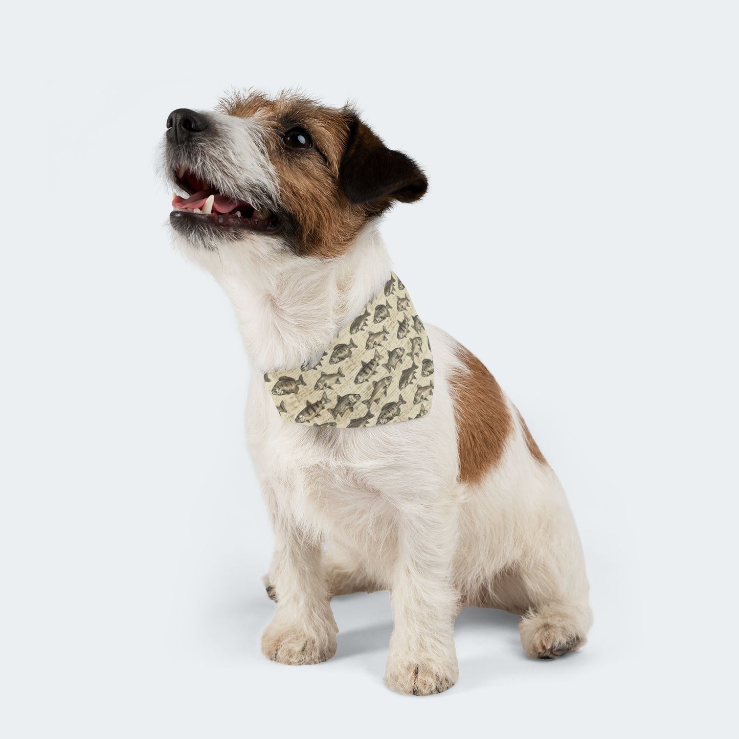 Fish Pattern Dog Bandana with Collar – Over-the-Collar Pet Bandana – Tan and Gray Dog Accessory