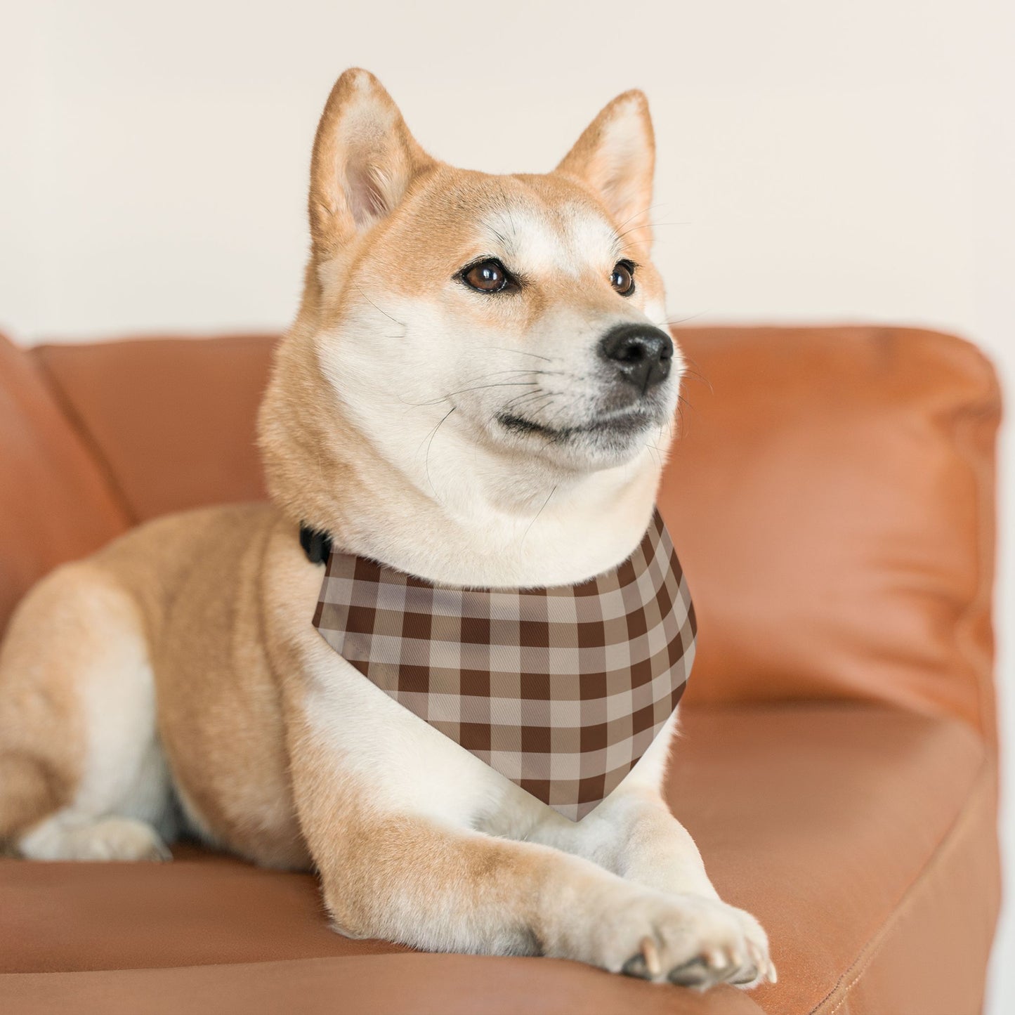 Brown Gingham Dog Bandana, Over the Collar