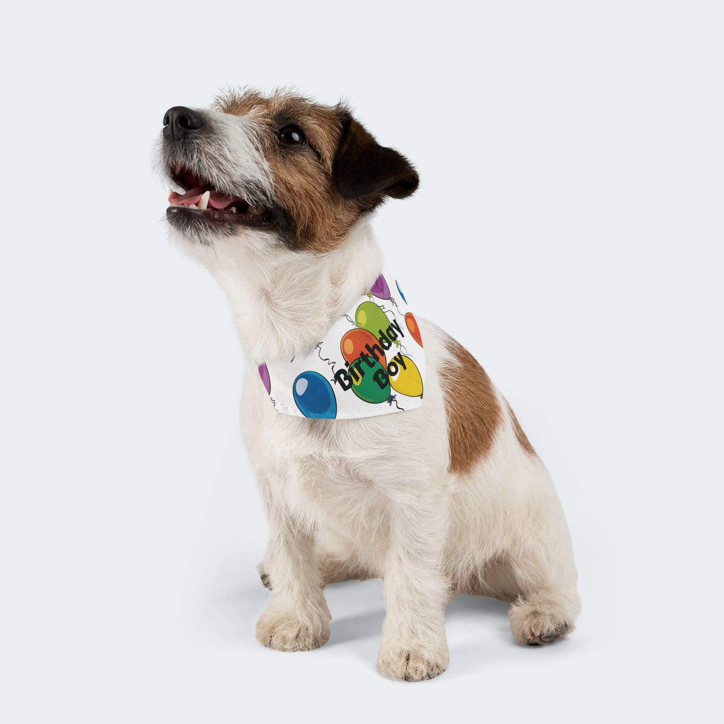 Birthday Boy Dog Bandana – Over-the-Collar Style, White with Colorful Balloons