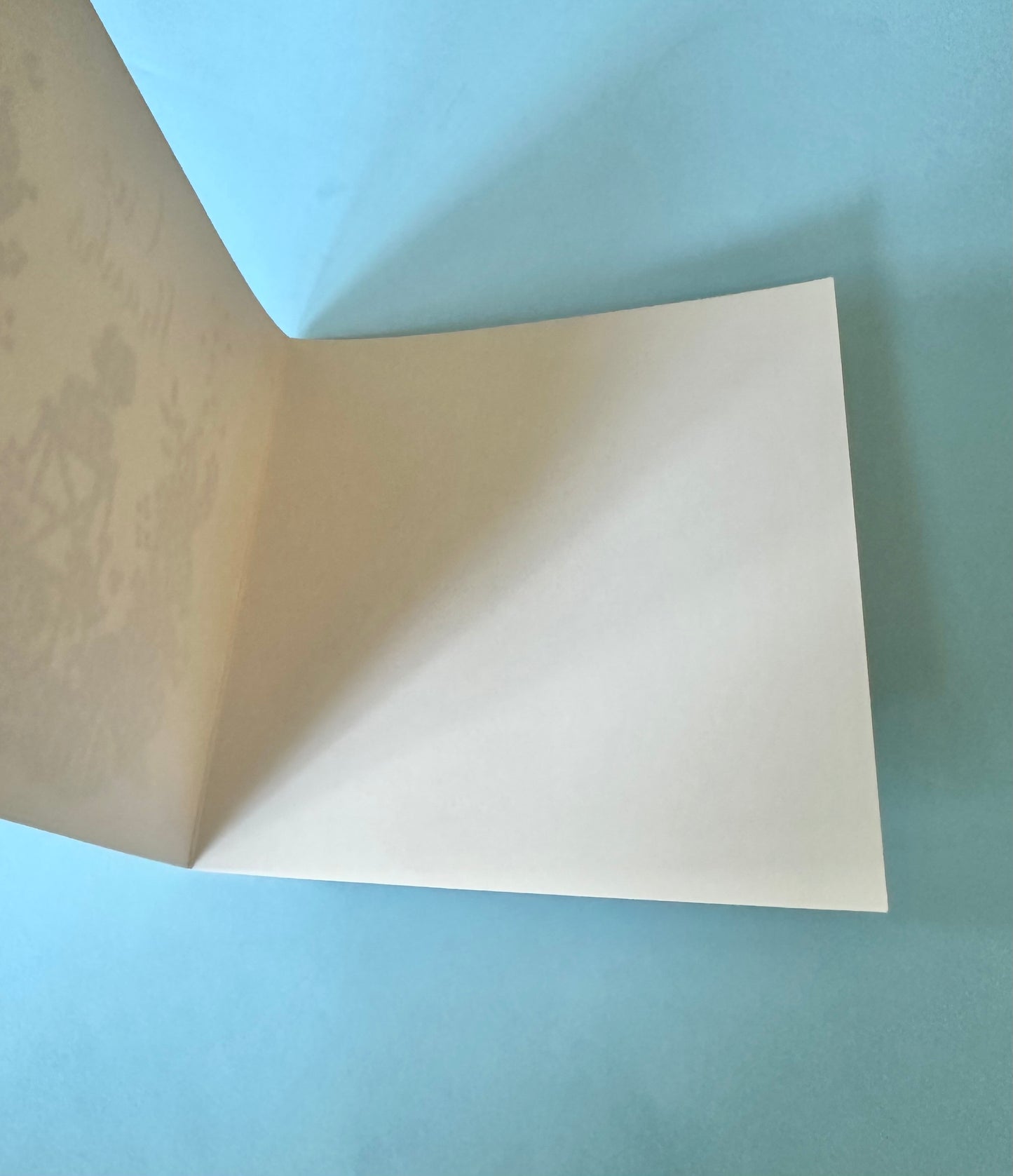 blank white inside of 6x6 greeting card