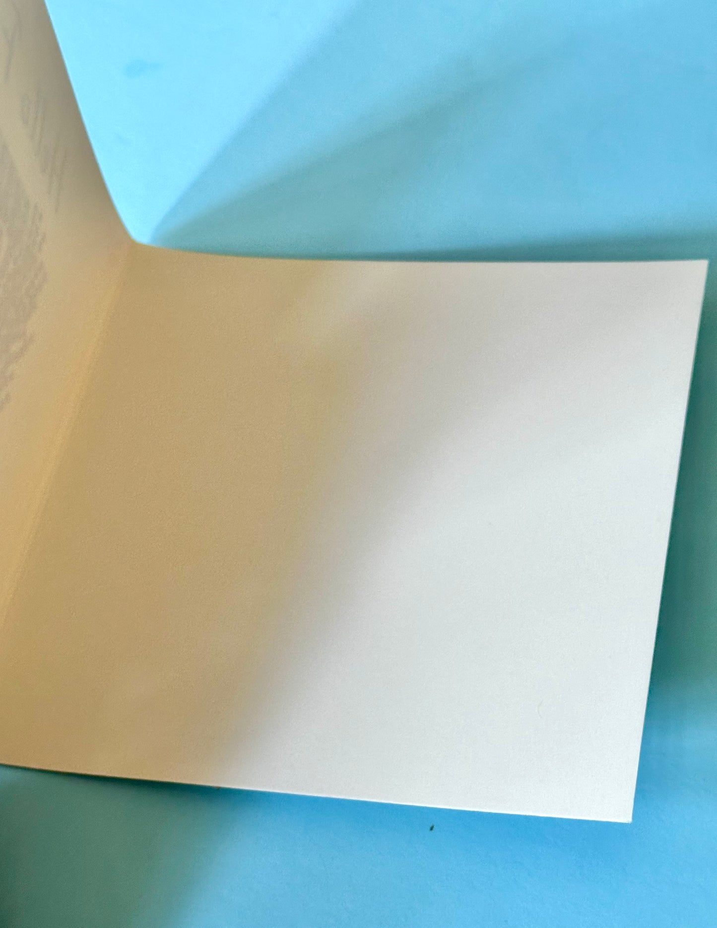 blank inside of 6x6 fall greeting card