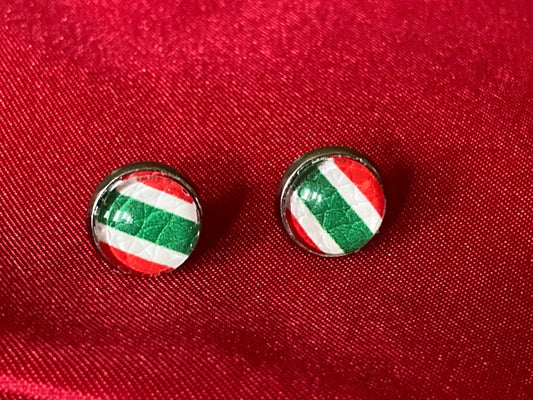 round stud earrings with red, white, and green stripes faux leather center