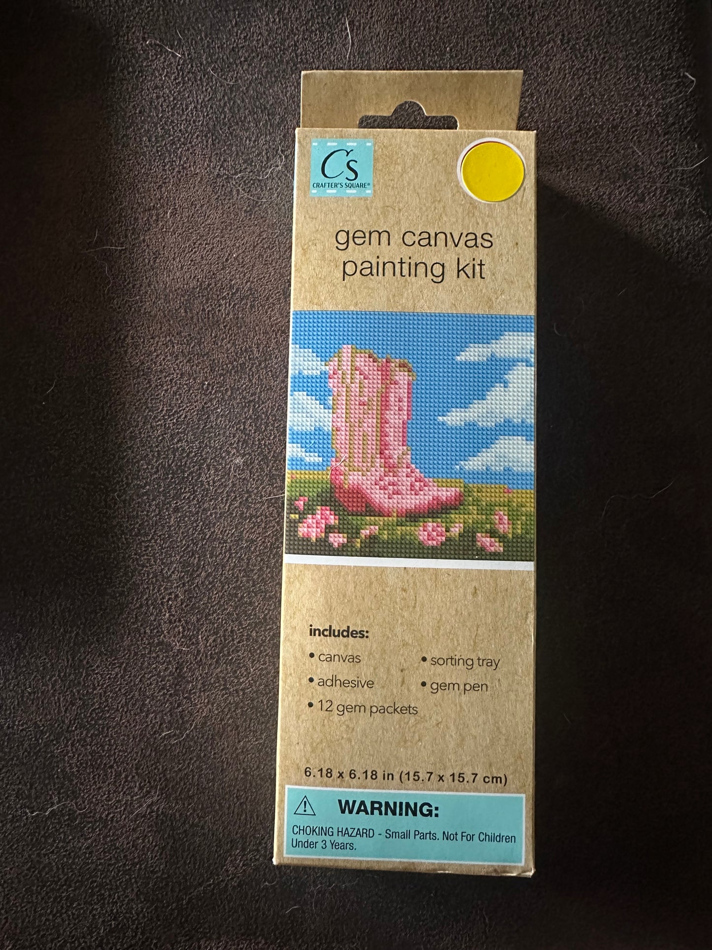 Cardboard packaging of a gem canvas painting kit on a dark surface.   Kit is pink cowgirl boots on grass with pink flowers, with blue sky with clouds
