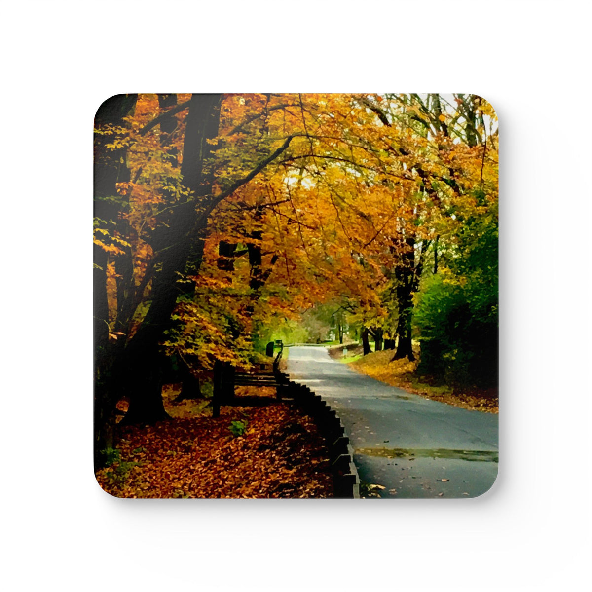 Autumn Woodland Road Coasters – Set of 4
