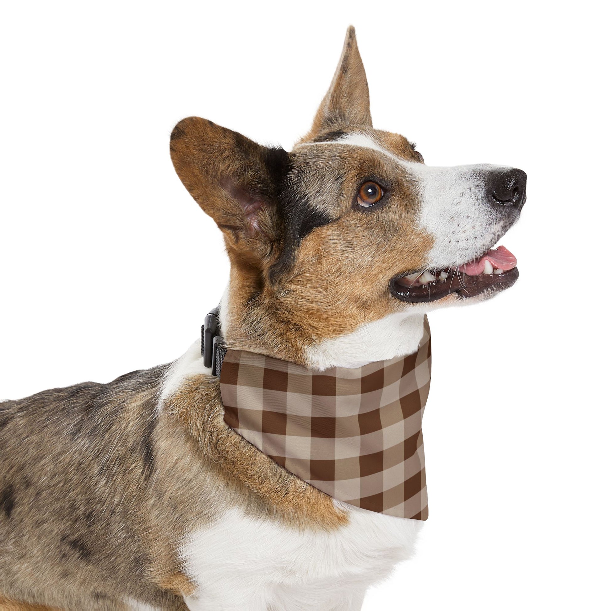 Brown Gingham Dog Bandana, Over the Collar