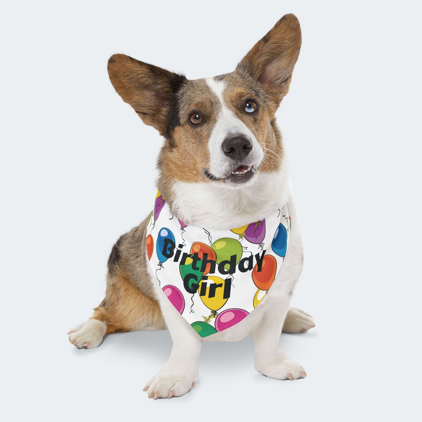 Birthday Girl Dog Bandana – Over-the-Collar Style, White with Colorful Balloons