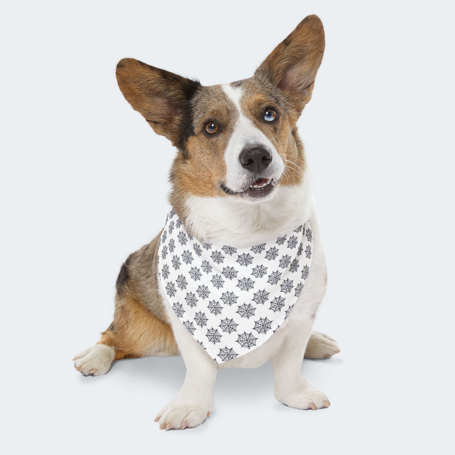 White Dog Bandana with Black Spider Web Pattern