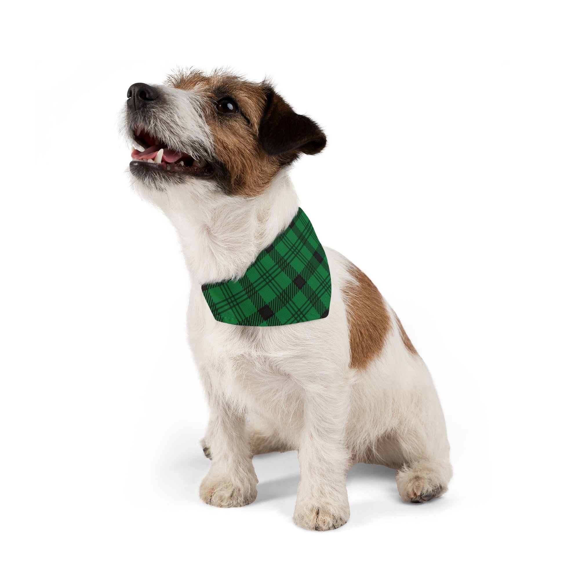 Green Plaid Pet Bandana Collar, Over the Collar