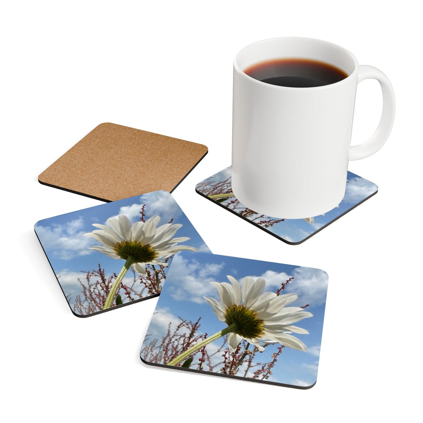 White Daisy Cork Coaster Set –  Original Photography Drink Coasters (Set of 4)