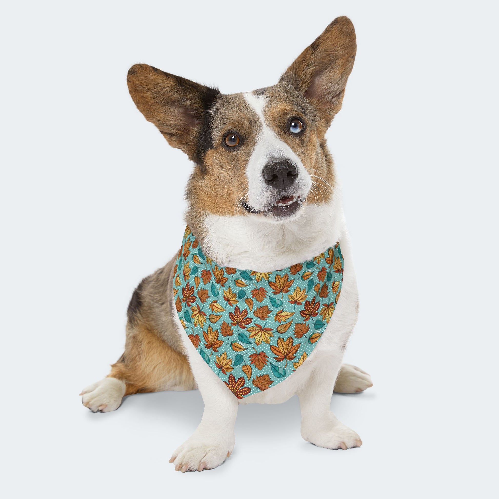 Light Blue Autumn Leaves Over-the-Collar Dog Bandana – Blue, Orange & Golden Leaf Pattern