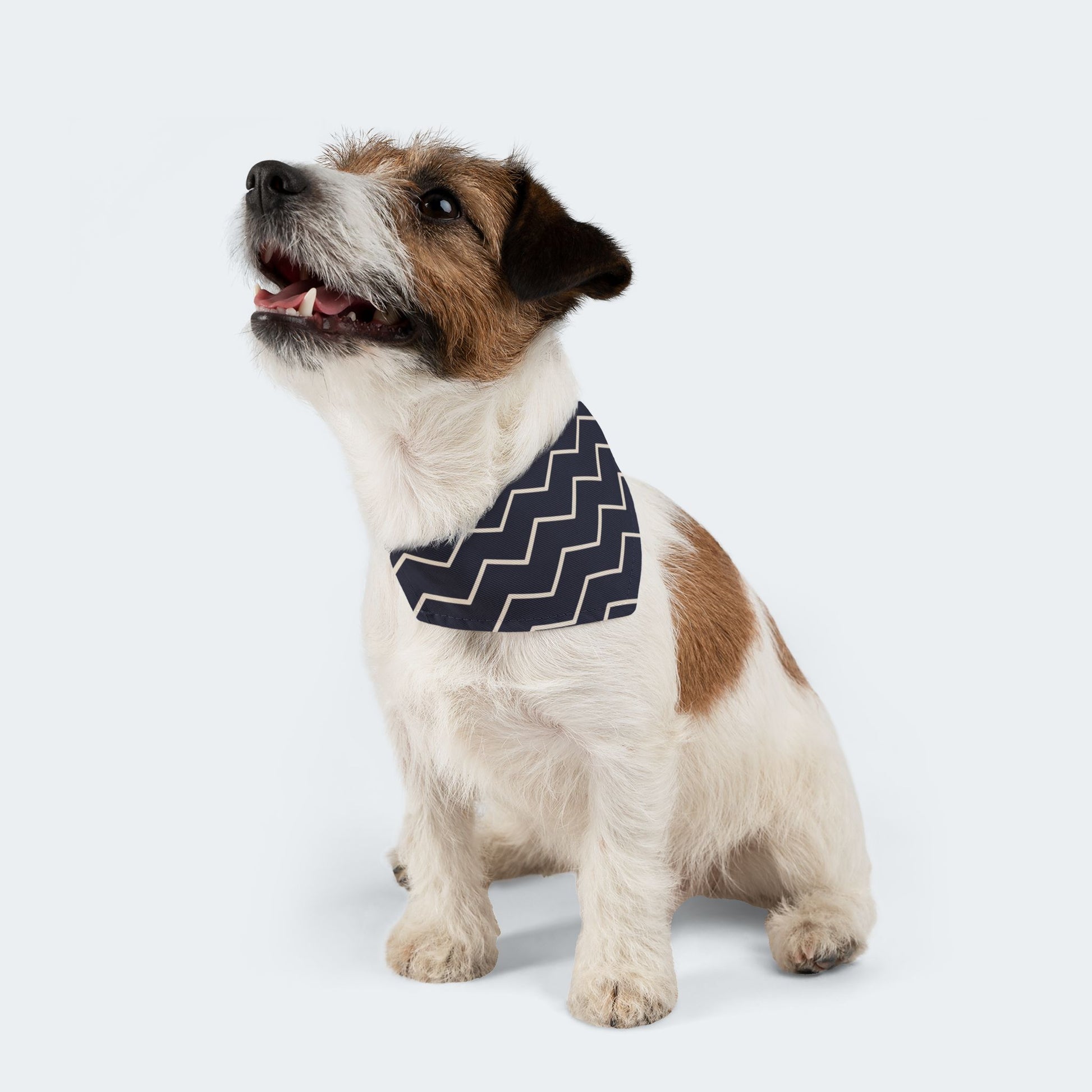 Black and White Chevron Dog Bandana - Over the Collar