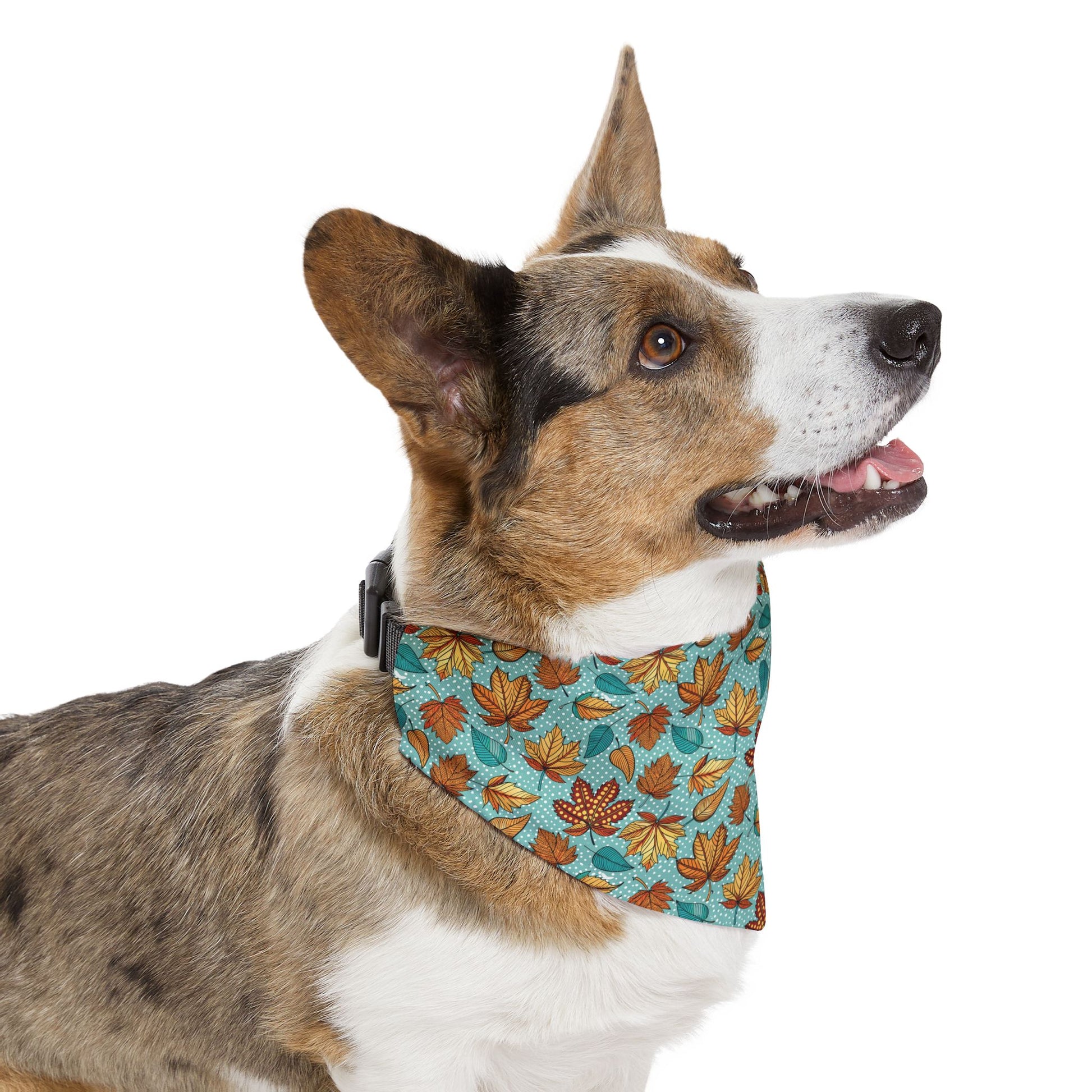 Light Blue Autumn Leaves Over-the-Collar Dog Bandana – Blue, Orange & Golden Leaf Pattern