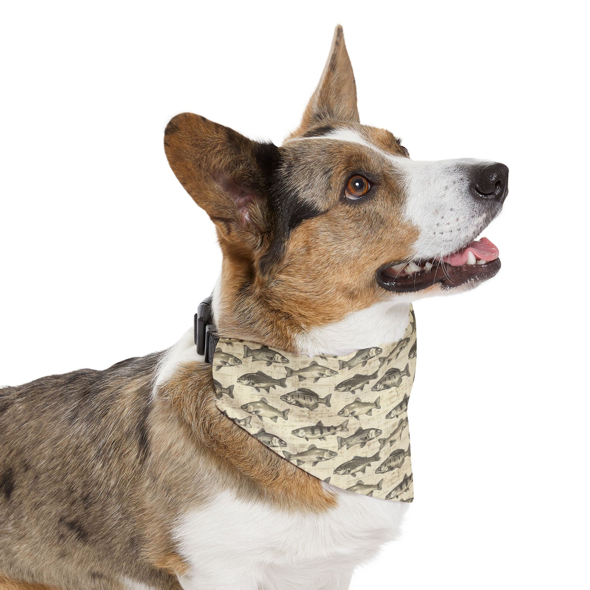 Fish Pattern Dog Bandana with Collar – Over-the-Collar Pet Bandana – Tan and Gray Dog Accessory