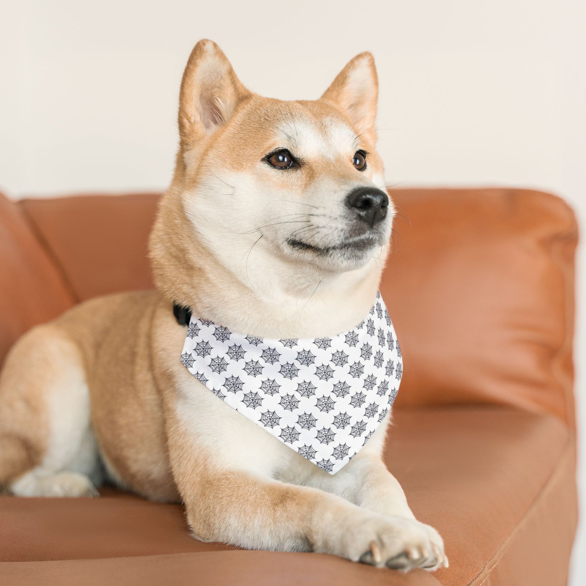 White Dog Bandana with Black Spider Web Pattern