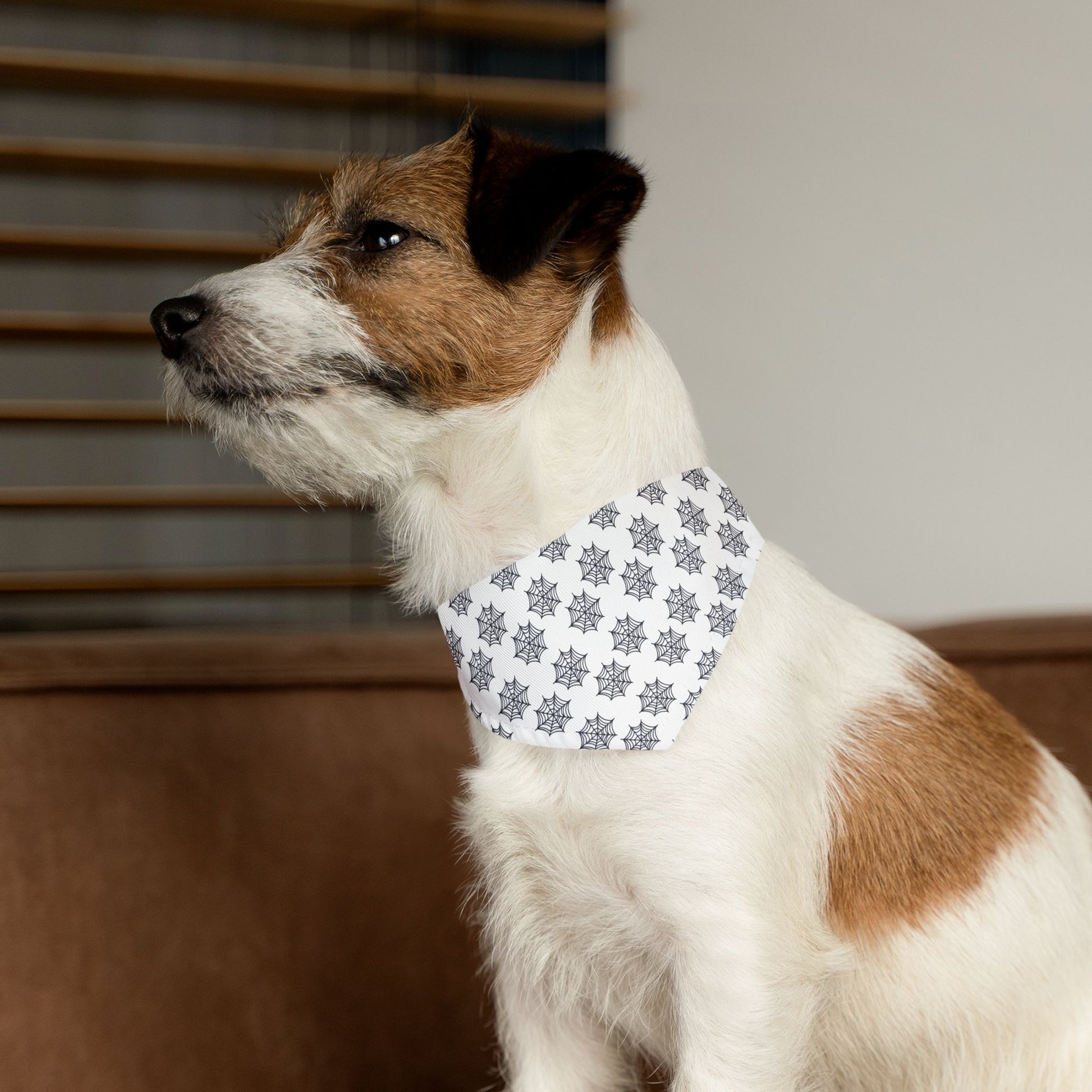 White Dog Bandana with Black Spider Web Pattern