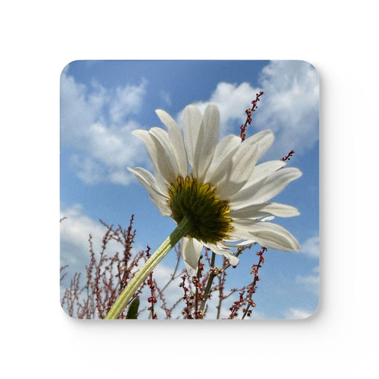 White Daisy Cork Coaster Set –  Original Photography Drink Coasters (Set of 4)