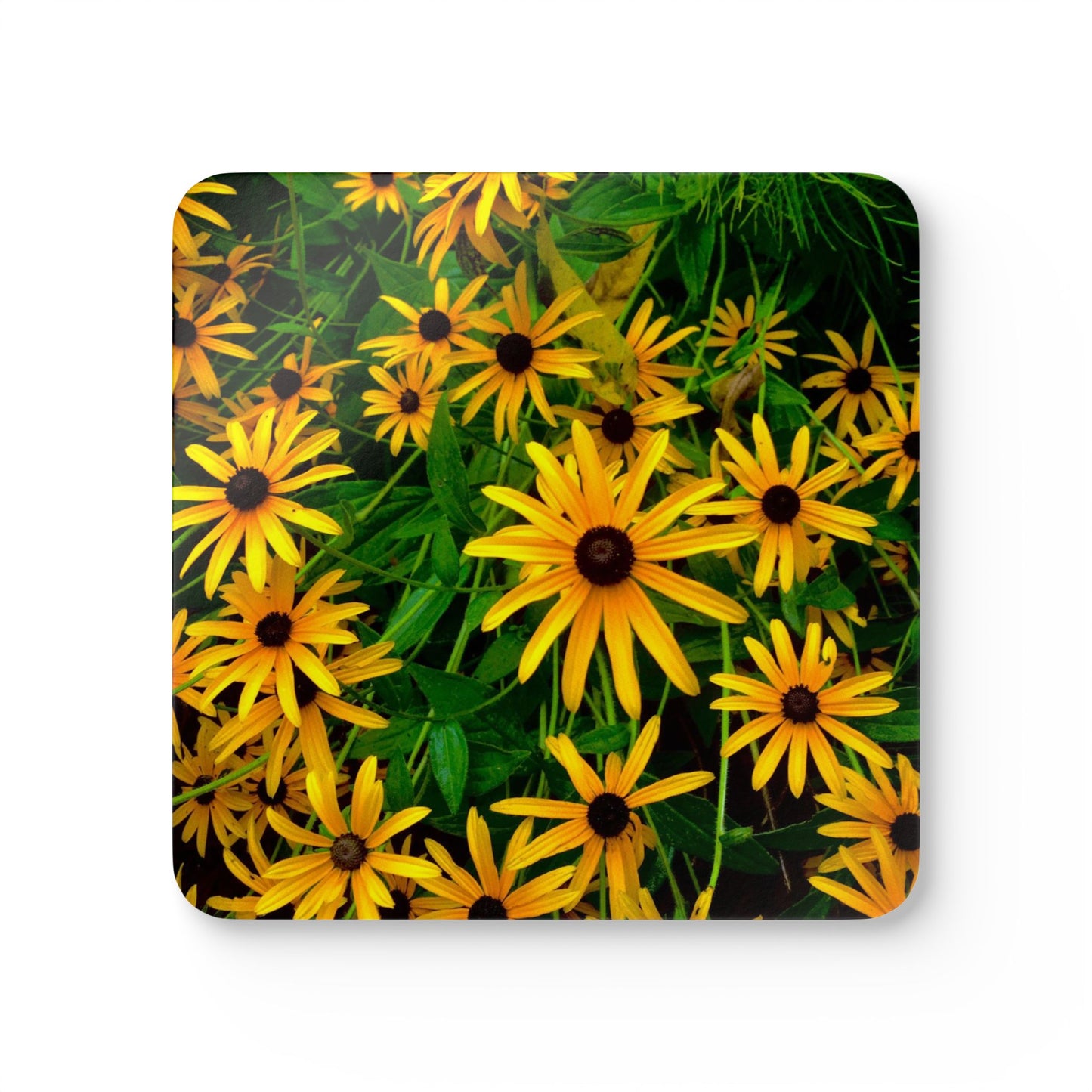 Black Eyed Susan Coasters Set of 4 | Original Photography Floral Cork Drink Coasters | Yellow Wildflower Table Decor | Cottagecore Home & Gift Idea