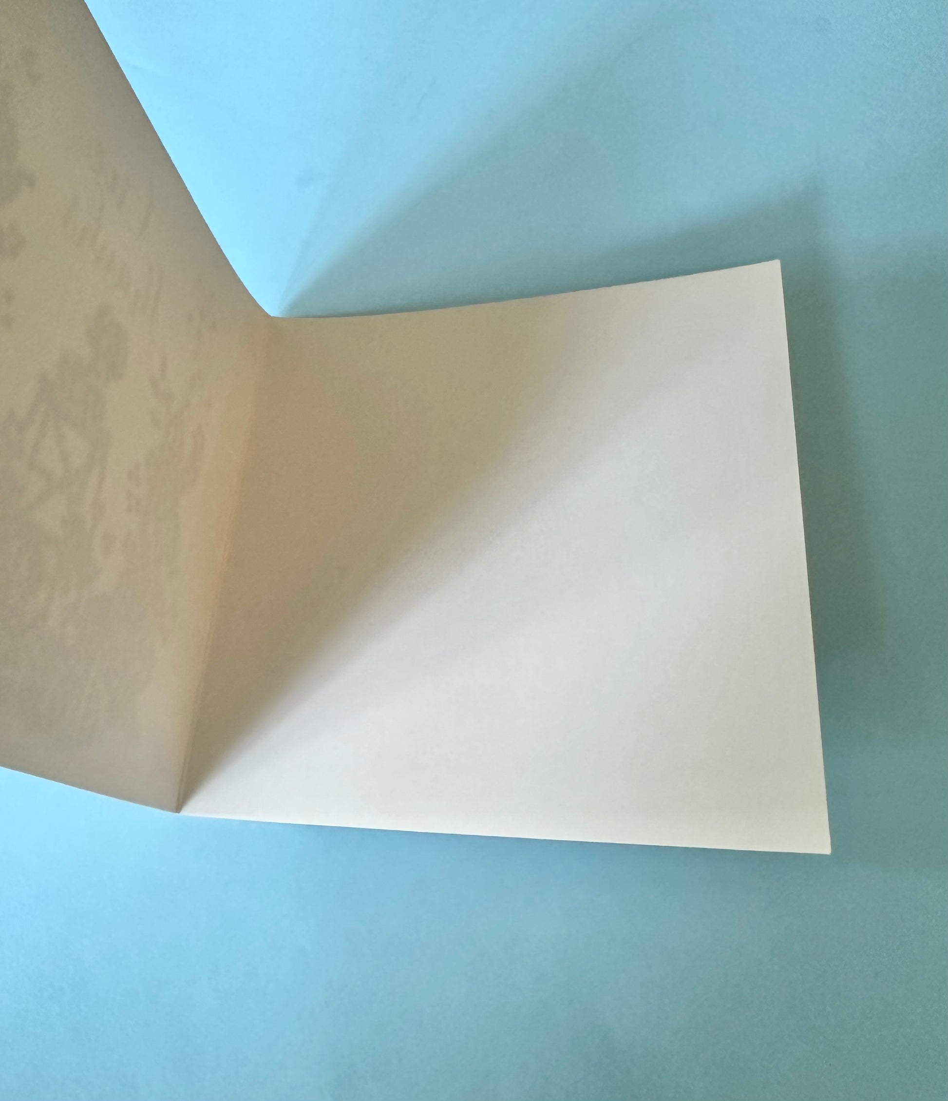 blank white  inside of 6x6 greeting card