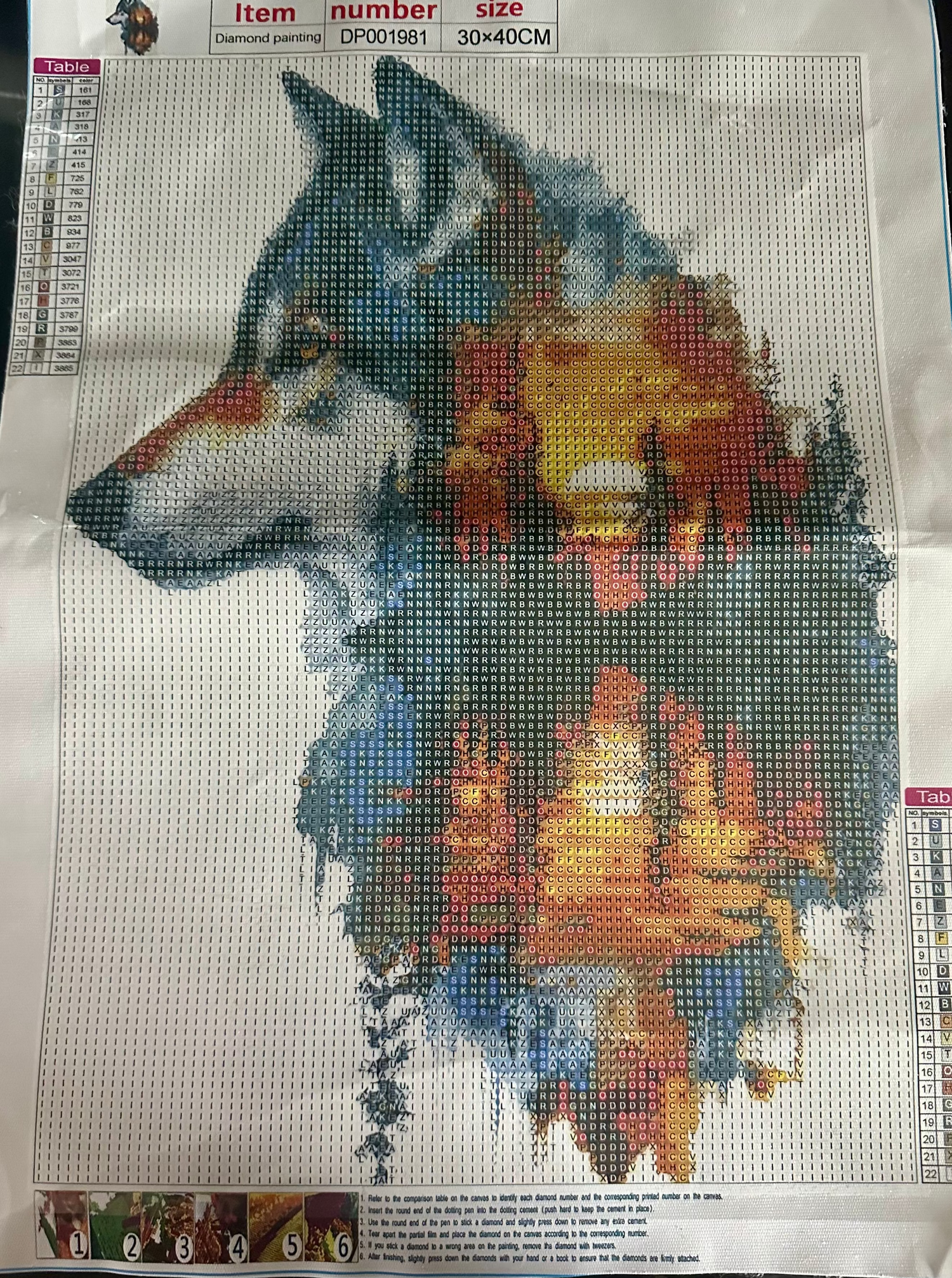 Wolf with mountain double exposure diamond painting kit